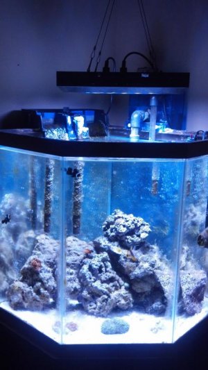 2012-08-01_20-06-54_77.jpg