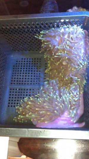 uploadfromtaptalk1345692380769.jpg uploadfromtaptalk1345692380769.jpg