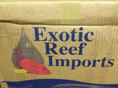 ImageUploadedByTapatalk1345727271.855923.jpg ImageUploadedByTapatalk1345727271.855923.jpg