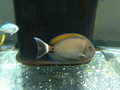 ImageUploadedByTapatalk1345727323.751620.jpg ImageUploadedByTapatalk1345727323.751620.jpg