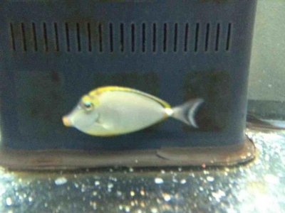 ImageUploadedByTapatalk1345727524.341237.jpg ImageUploadedByTapatalk1345727524.341237.jpg