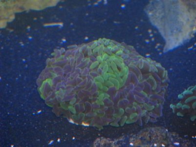 IMG_3602.jpg