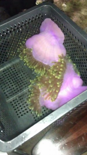 uploadfromtaptalk1345736296381.jpg uploadfromtaptalk1345736296381.jpg