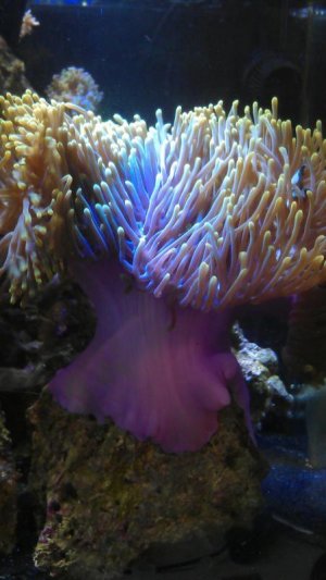 uploadfromtaptalk1345653178380.jpg uploadfromtaptalk1345653178380.jpg