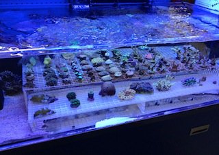 IMG_1425.JPG