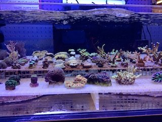 IMG_1427.JPG