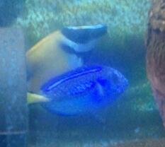 2012-08-04 20.08.25-1.jpg