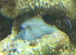 IMG_0212.JPG