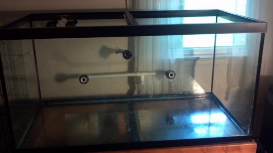 2012-08-05_15-16-22_660.jpg