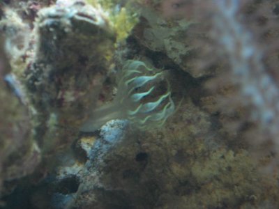 IMG_1871.JPG