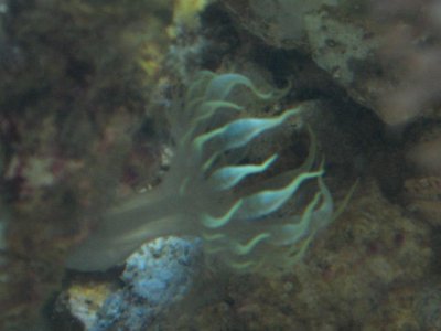 IMG_1872.JPG