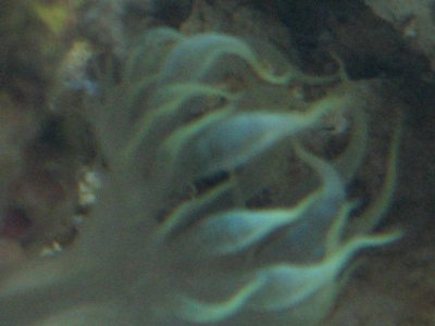 IMG_1874.JPG