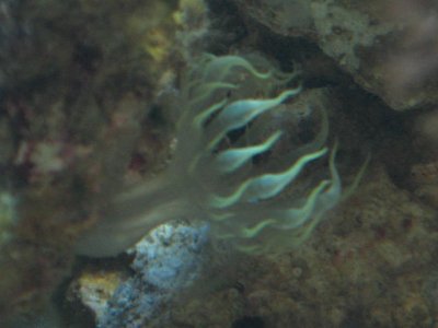 IMG_1877.JPG