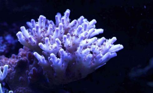 ImageUploadedByTapatalk1344279742.438734.jpg