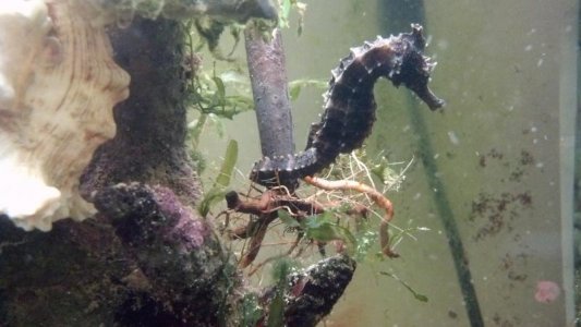 2012-08-06_12-36-25_339.jpg