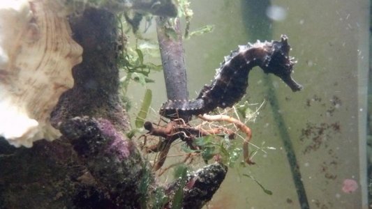 2012-08-06_12-36-22_618.jpg