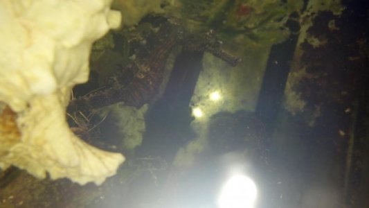 2012-08-06_12-35-00_236.jpg