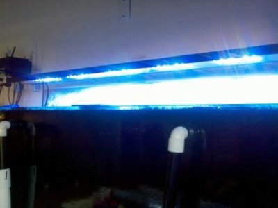 sunbrite.jpg