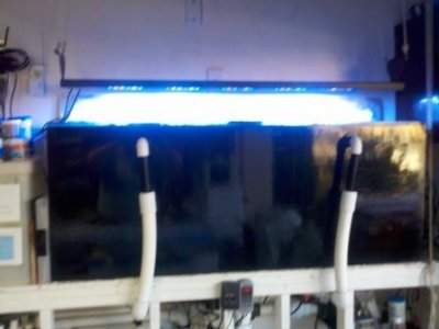 sunbrite2.jpg