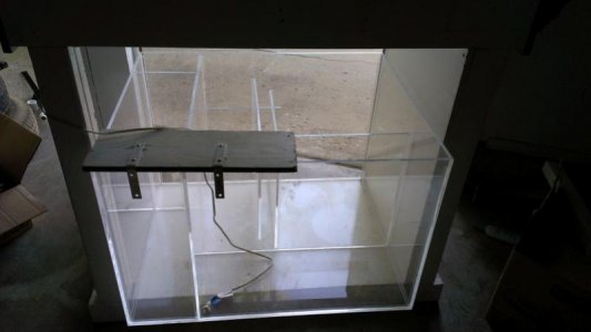IMAG0335-001.jpg
