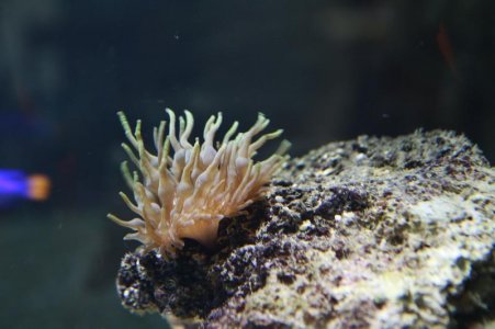 _MG_7211.jpg