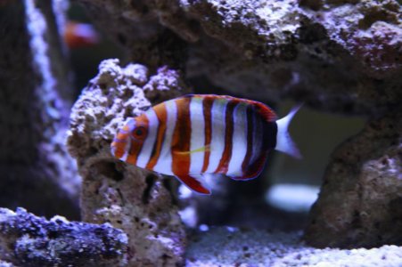 _MG_7073.jpg
