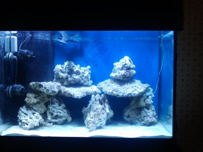 2012-08-07 21.30.39.jpg