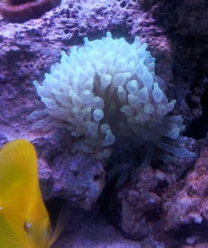 2012-08-29 12.58.05.jpg