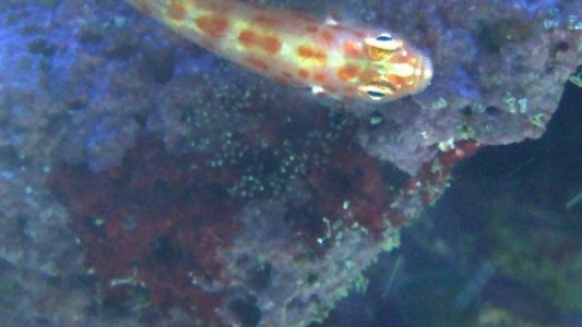 2012-08-07_22-50-20_637.jpg