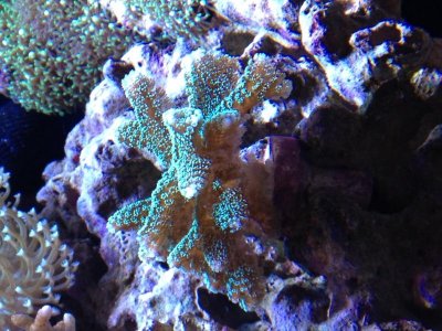 photo (1).jpg