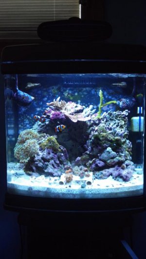 2012-08-29_16-04-39_635.jpg