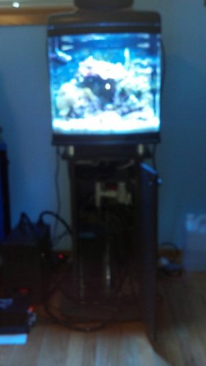 2012-08-29_16-08-15_703.jpg