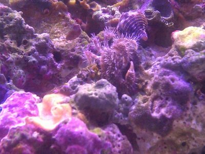 2012-08-28 17.18.05.jpg