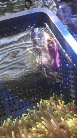 uploadfromtaptalk1346349778292.jpg uploadfromtaptalk1346349778292.jpg