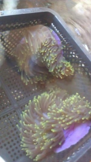 uploadfromtaptalk1346349874695.jpg uploadfromtaptalk1346349874695.jpg