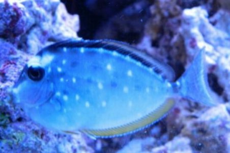 2012-08-09 14.21.57.jpg