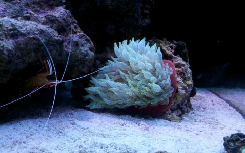 2012-08-09 15.40.32.jpg