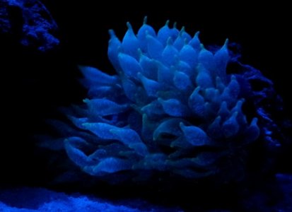 2012-08-09 15.43.00.jpg