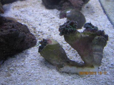IMG_2059.jpg