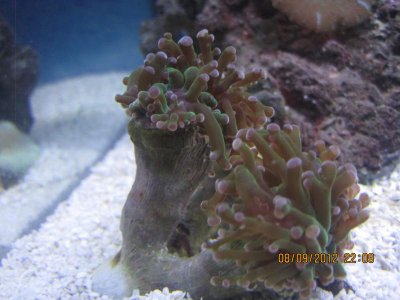 IMG_2063.jpg