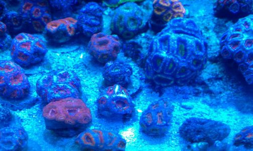 IMAG0252.jpg