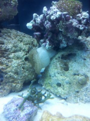 20120902_155243 (480x640).jpg