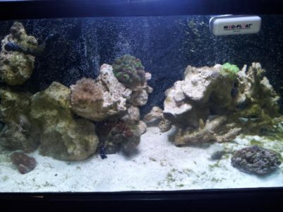 20120810_204246.jpg