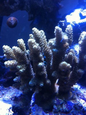 photo (4).jpg