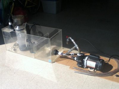 sump, pump and skimmer.jpg