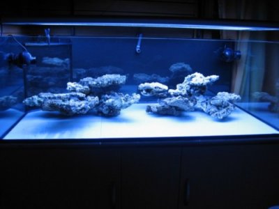 Unique-Aquascaping.jpg