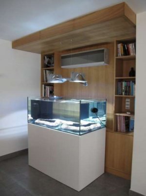 modern-reef-aquarium.jpg