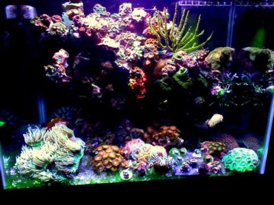 FTS[1].jpg
