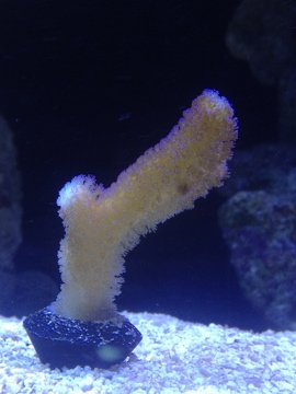 photo(2).jpg