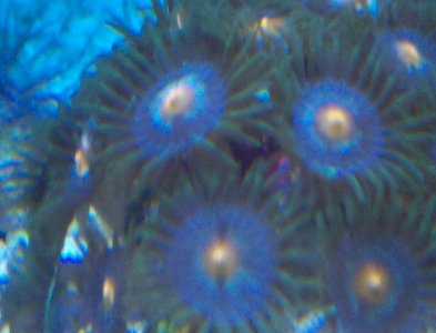 2012-09-10_14-53-18_762.jpg